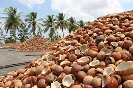 Sustainable Farming Indonesia - Eco-friendly Agriculture Practices